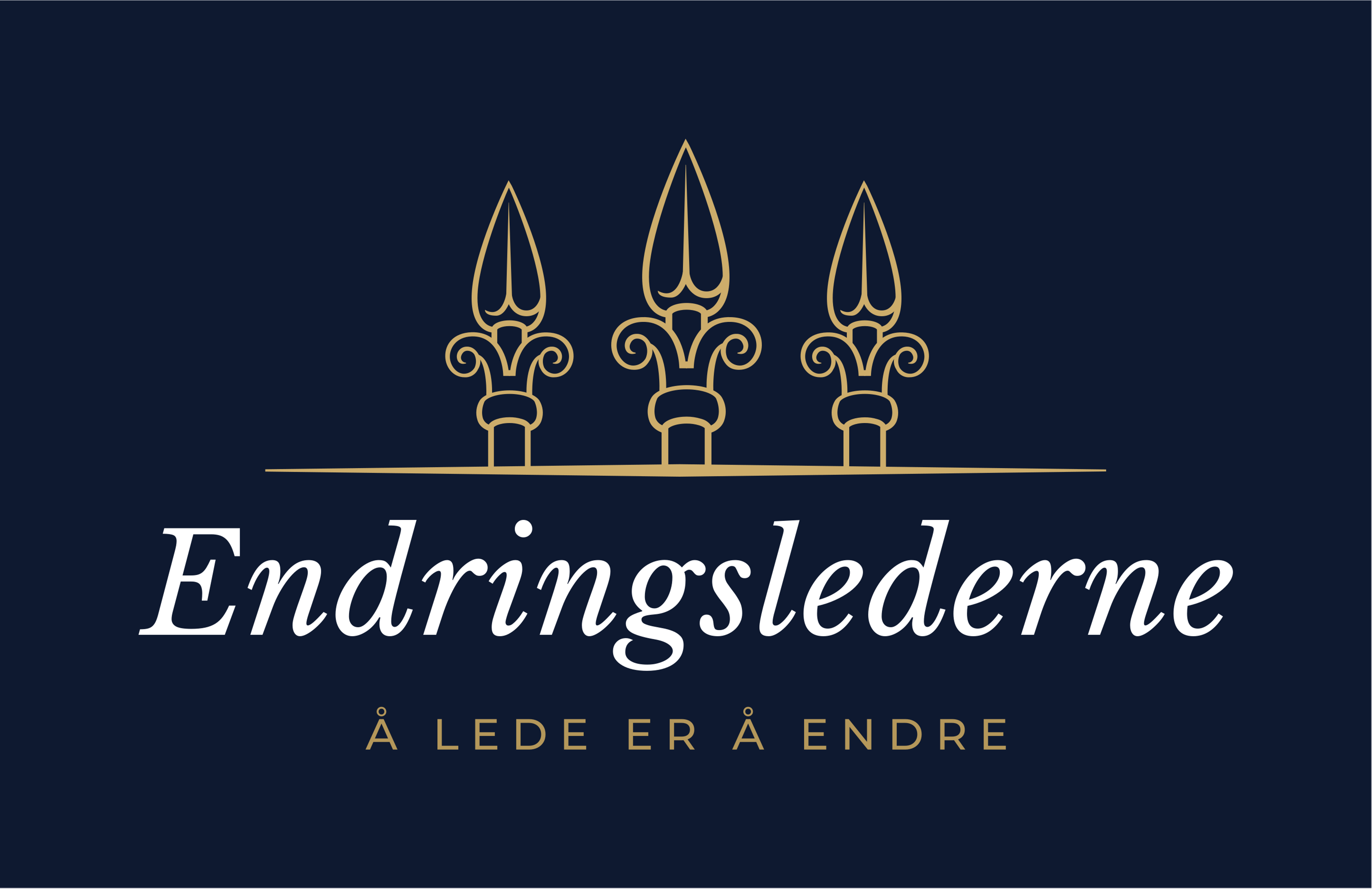 ENDRINGSLEDERNE AS